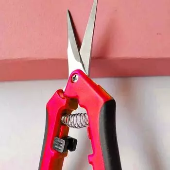 Нержавеющая сталь Обрезка веток фруктовых деревьев Обрезка веток цветов Садовые инструменты Ножницы для цветоводства