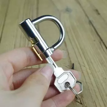 Нержавеющая сталь PA Lock Принц Альберт Пирсинг Мужской прокол Кольцо D 3mm