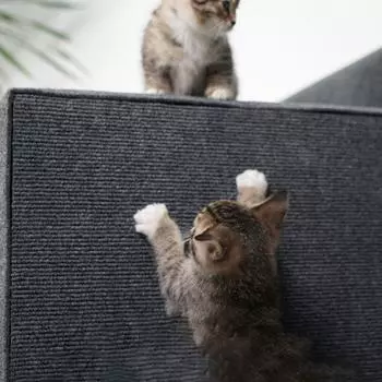 Нескользящие наклейки от царапания кошек, самоклеящиеся коврики для защиты мебели от кошек S бежевый