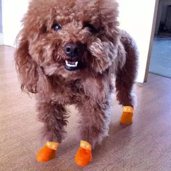 Нескользящие сапоги для собак, защитные ботинки для домашних животных, 4 шт., водонепроницаемая обувь для кошек от дождя S синий