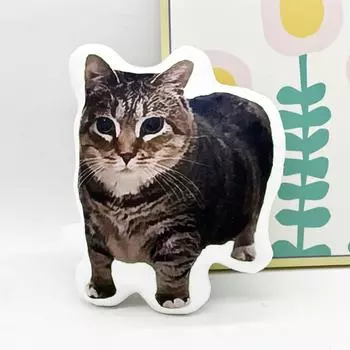 Netflix Quirky Shaped Pillow Real Cat Мягкая игрушка Кукла Кукла, Новинка Куклы One Size