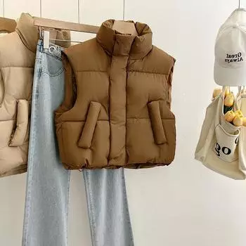 Новый осенне-зимний короткий женский хлопковый жилет с высокой талией, маленький модный свободный универсальный жилет, тонкая куртка с воротником-стойкой M