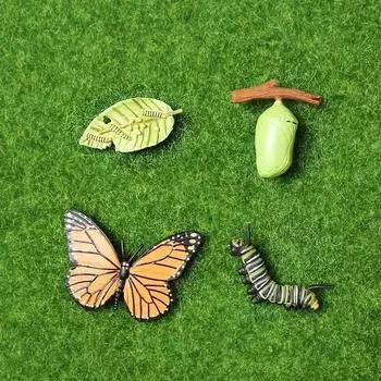 New Creative Childrens Cognitive Education Toy Simulation Animal Insect Model Mini Animal Butterfly Growth Cycle Ornaments