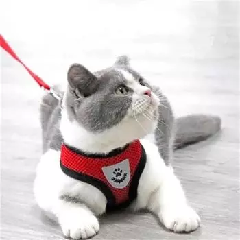 New dog and cat outdoor walking strap vest Adjustable soft breathable mesh vest cute pet accessories S(1.5-2.5 kg) чёрный
