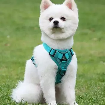 New Dog Traction Rope Tank Top Pet Chest Strap Reflective and Breathable Walking Cat Rope Dog Rope M оранжевый