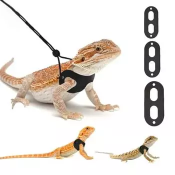 New Luxurious Deluxe Ultimate Premium Reptile Traction Belt Leash Set for Unforgettable Adventure with Complete Peace of Mind. E чёрный