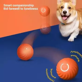 New pet dog toy automatic dog ball bite resistant from the high dog teasing magic dog gravity jump ball