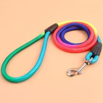 New puppy lead rope Teddy small and medium-sized dog colorful nylon round lead rope 1.2m dog walking accessories Pet supplies S