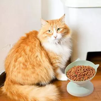 New Tilted Elevated Cat Bowl Plastic Cat And Dog Bowl Anti Vomiting Pet Food And Water Dispenser Elevated Dog Bowl Pet Products