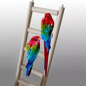 New Wooden Ladder Parrot Bird Pet Budgie Rodent Hamster Mouse Gerbil Cage Toys 9x20cm