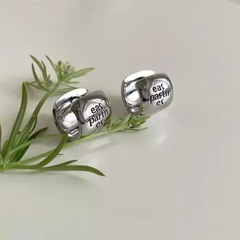 Niche unique high-end letter earrings women s simple fashion ins wind earrings exquisite and versatile summer earrings 925 silver needle