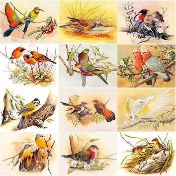 Nieuwe 5D Diy Diamant Schilderij Papegaai Diamant Borduurwerk Vogel Dier Kruissteek Volledige Vierkante Ronde Boor Ambachten Домашний Декор Подарок Full Round 15x20CM