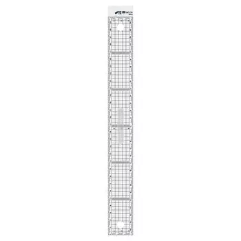 Niigata Seiki SK Catch-up Graph Ruler Kaidan Scale 30cm CGS-30KD Clear