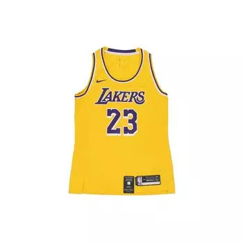Nike Баскетбольная майка LeBron James Icon Edition Lakers Fan Pullover, женская майка, желтая AA7125-736 M