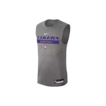 Nike Баскетбольная майка с логотипом Dri-FIT NBA, мужская майка Los Angeles Lakers, серая DR6771-063 S