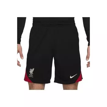Nike ФК Ливерпуль Шорты повседневные эластичные с вышивкой логотипа Strike Dri-FIT Мужские шорты Черный FN9392-010 S