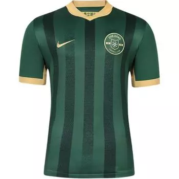 Nike ФК Профессиональная китайская Суперлига Сезон 2025 Команда Чжэцзян Фан-издание Удобная Универсальная Футболка с коротким рукавом Мужские топы HM6184-341