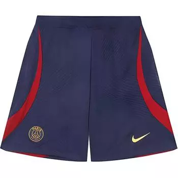 Nike Футбольные шорты Paris Saint-Germain Edition с цветным логотипом и эластичной талией, мужские, темно-синие, DX3193-498 S