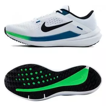 Nike Кроссовки Air Winflow 10 270