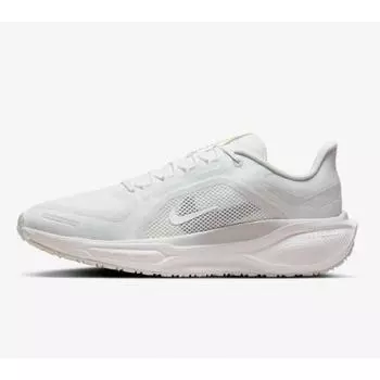 Nike Кроссовки Air Zoom Pegasus Trail 41 Gtx Be2 Fq1356 101 1.FQ1356 101 250
