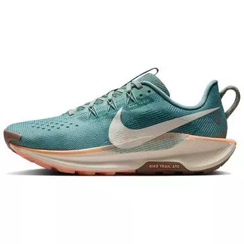 Nike Кроссовки Pegasus Trail 5 Cannon Женские Бирюзовый Норка-Коричневый Оранжевый-Мел DV3865-010 36