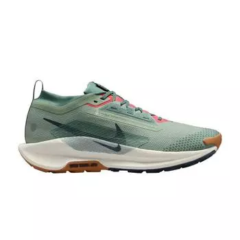 Кроссовки мужские Nike Pegasus Trail 5 GORE-TEX Jade Horizon Green Bicoastal Pale-Ivory FQ0908-300 40