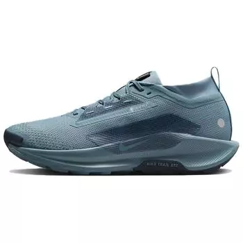 Nike Pegasus Trail 5 GORE-TEX Smokey Blue Мужские кроссовки Light-Silver Armory-Navy FQ0908-005 42