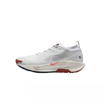Nike React Pegasus Trail 5 Gore-Tex Pure Platinum Football Grey Pink Foam White Мужские кроссовки FQ0908-009 39