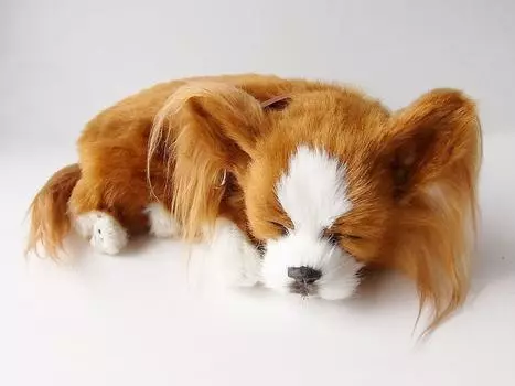 Nini and Kino Perfect Pet (Small Size) Chihuahua Long (Red & White) Stuffed Toy Dog Dog Realistic Look-alike Miscellaneous Goods Animal Healing