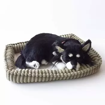 Нини и Кино Идеальный питомец Чихуахуа Длинная мягкая игрушка Собака Собака Реалистичная Как настоящая Разные Товары Животное Исцеление Движущийся Подарок