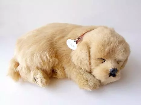 Нини и Кино Идеальный питомец Ретривер Мягкая игрушка Собака Реалистичные Разные Товары Животное Исцеление Движущийся Подарок Подарок Празднование Милая Собака Мягкая игрушка