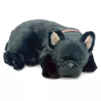 Ниниан и Кино — идеальные питомцы (маленький размер) французский бульдог (тигровый) мягкая игрушка собака собака собака настоящий подлинный точно такой же как разные товары животное животное