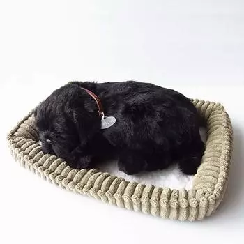 Ниниан и Кино Идеальный Питомец Мопс Мягкая Игрушка Собака Реалистичные Товары Животное Исцеление Движущийся Подарок Праздник Милая Мягкая Игрушка Собака (Маленький размер)