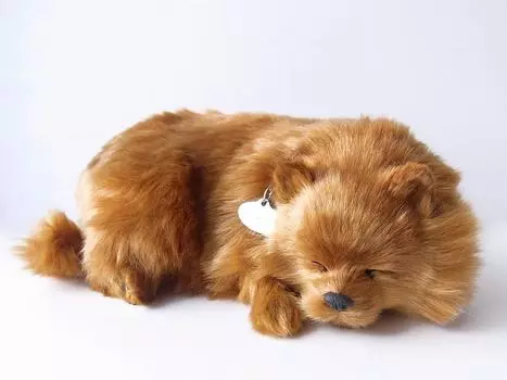 Ниниан и Кино Идеальный питомец Померанский шпиц Мягкая игрушка Собака Реалистичные товары Животное Исцеление Движущийся подарок Празднование Милая собака Мягкая игрушка