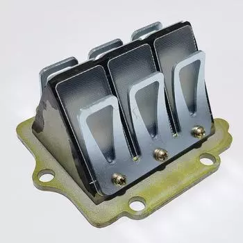 NINJA150 Пластинчатый клапан для Kawasaki KRR 150RR - Аксессуары для двухтактных мотоциклов Reed valve