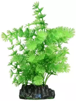 Nisso Bukubuku Plants L Гибкая Амбрия