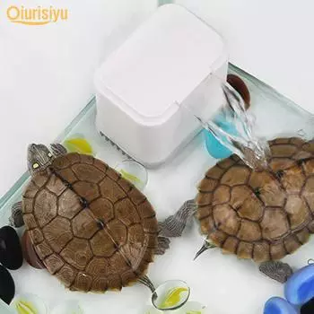 Низкий уровень воды Качество воды Насос для очищенной воды Фильтр резервуара-черепахи