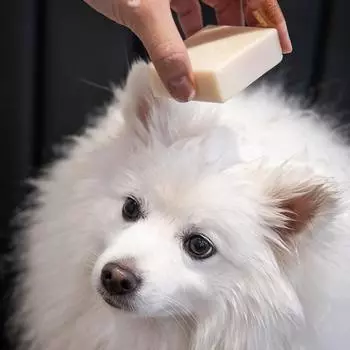 Noeul Soap Dog Camellia Shampoo Bar Cleansing Good Ingredients Full Body Care, Dog Camellia Shampoo Bar