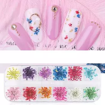 Ногти Ногти Сухой Цветок Звезда Подсолнух Нарцисс Пять Лепестков Маленький Сухой Цветок