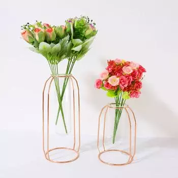 Nordic Creative Vase Home Decor Golden Glass Hydroponic Plant Holder Iron Line Flowers Ornament Garden Decoration Hot