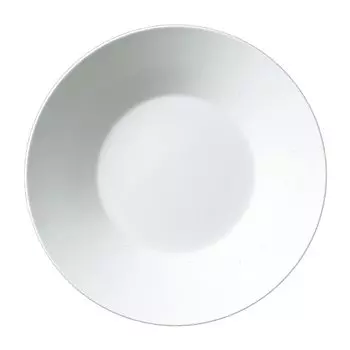 Noritake N4 25cm deep plate 5515T/1628