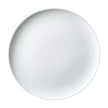 Noritake N4 25cm flat plate 5523A/1628