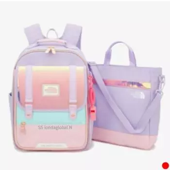 North Face Preppy Набор рюкзаков для девочек младшего возраста рекомендуется