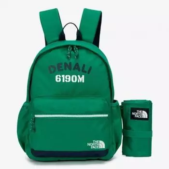 North Face Store Genuine North Face The North Face Kids Picnic Pack Nm2dq07u Gre 1798421 ONE