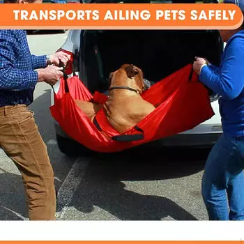 Носилки для транспортировки питомцев, Переноска, Удобные, Простые в использовании, Поддержка при чрезвычайных ситуациях для кошек