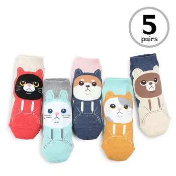 Носки Cat In A Hoodie Funny Kitten (5 пар) JD 15 22cm - 25cm