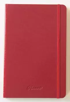 Note A5 Dot Grid Editable Note Crimson Red 641249 Hmmm!?