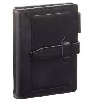 Ноутбук Reimei Fujii System Da Vinci Loloma Classic Mini 5 черный DPM3034B