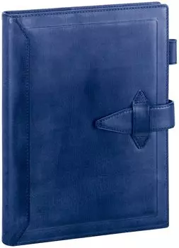 Ноутбук Reimei Fujii System Da Vinci Loloma Classic A5 Blue DSA3010A