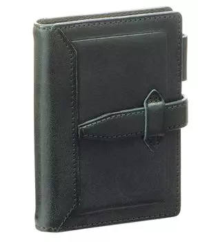 Ноутбук Reimei Fujii System Da Vinci Loloma Classic Mini 5 Green DPM3034M